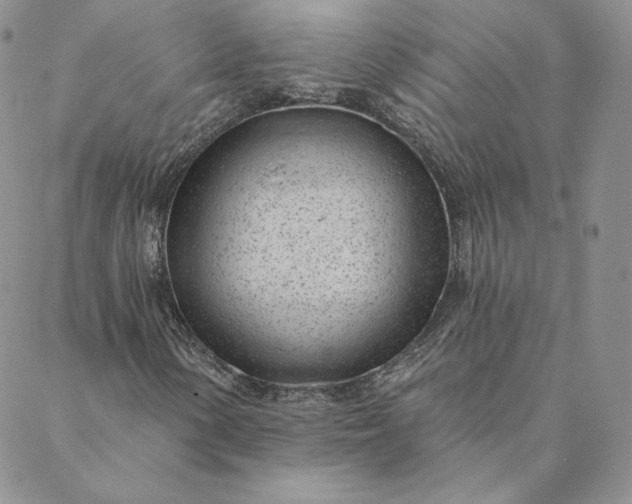 X0000088611154200706081427