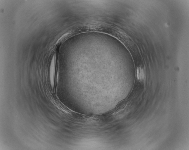 X0000088611155200706081427