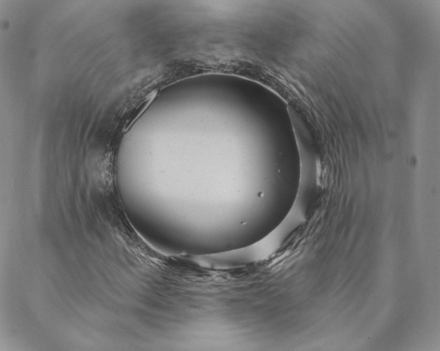 X0000088611156200706081427