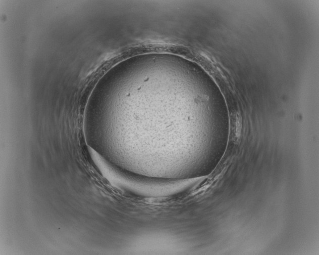 X0000088611157200706081427