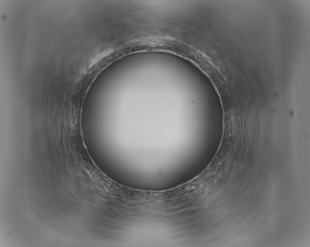 X0000088611158200706081427