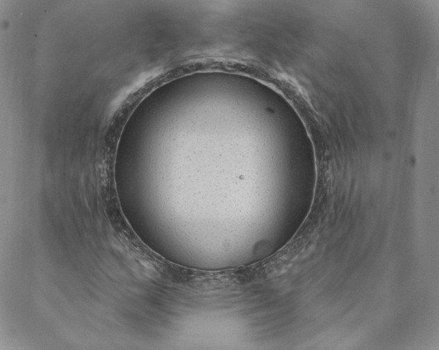 X0000088611159200706081427