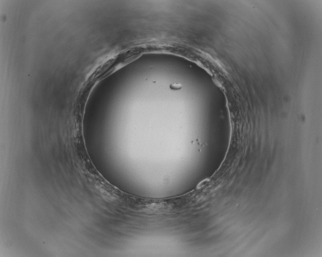 X0000088611160200706081427