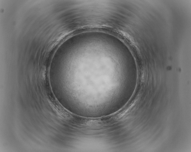 X0000088611161200706081427