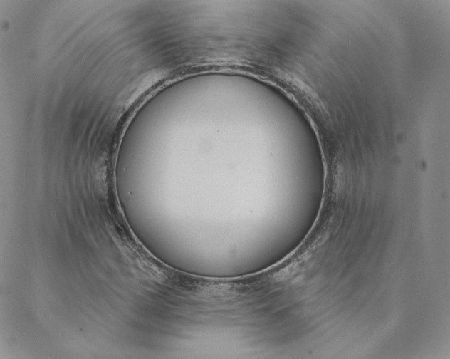 X0000088611162200706081427