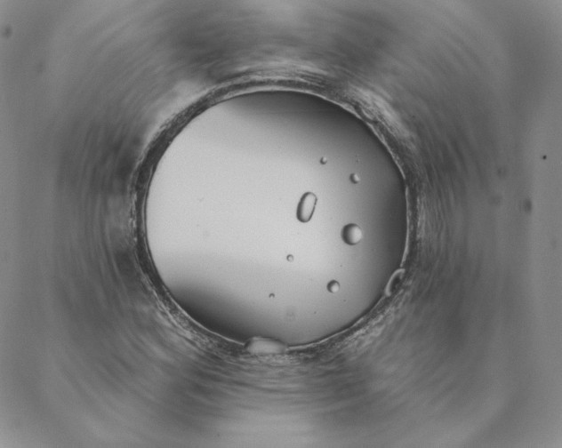 X0000088611164200706081427