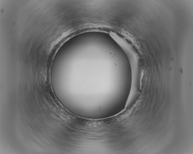 X0000088611165200706081427