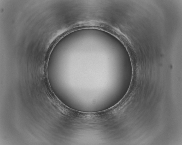 X0000088611166200706081427