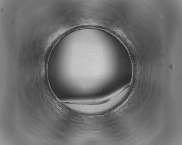 X0000088611167200706081427