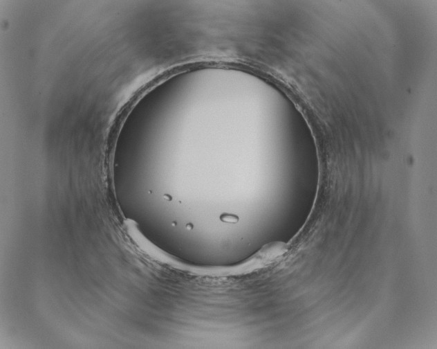 X0000088611168200706081427