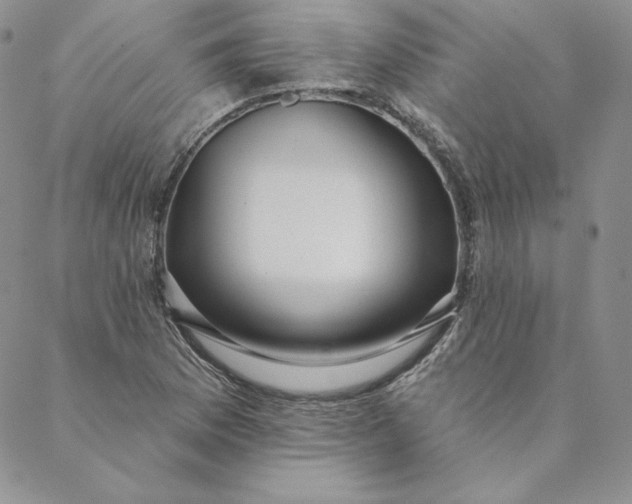 X0000088611169200706081427