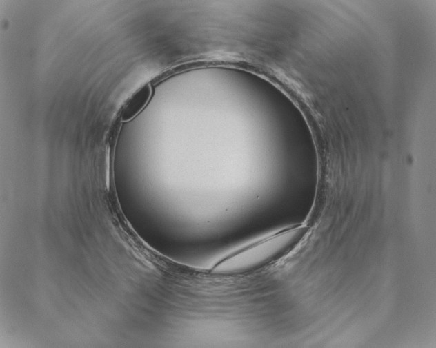 X0000088611171200706081427