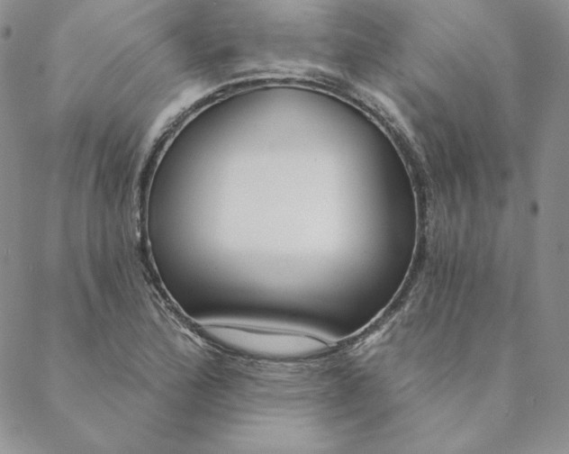 X0000088611172200706081427