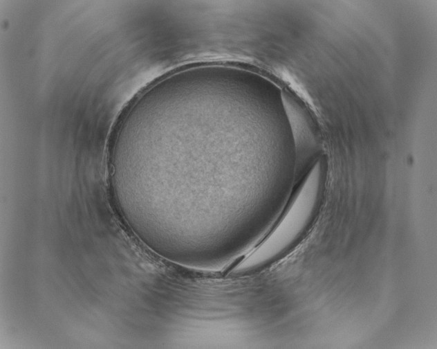 X0000088611173200706081427