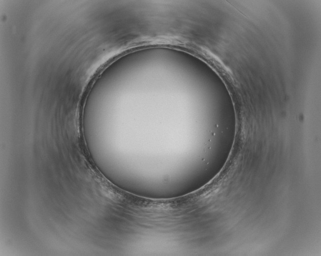 X0000088611174200706081427