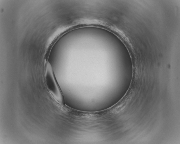 X0000088611175200706081427