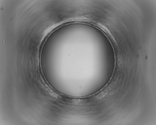 X0000088611176200706081427