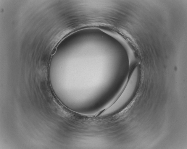 X0000088611177200706081427