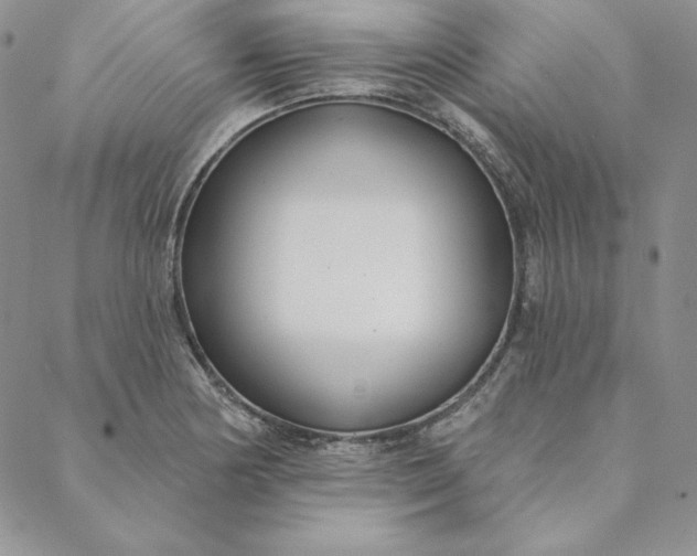 X0000088611178200706081427