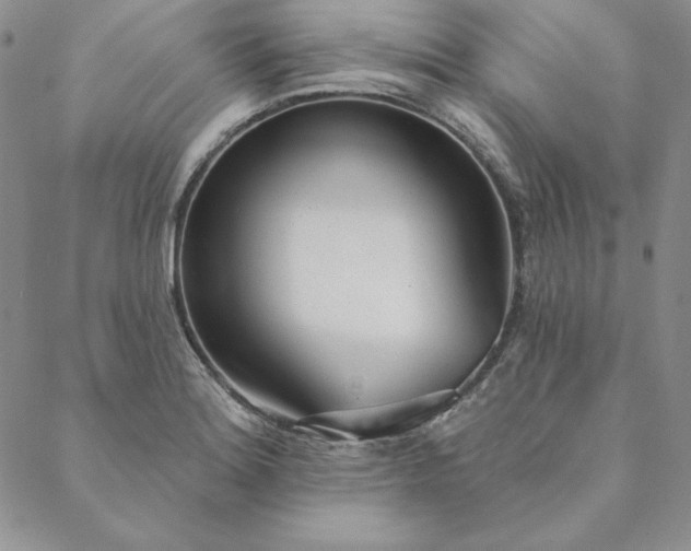 X0000088611180200706081427