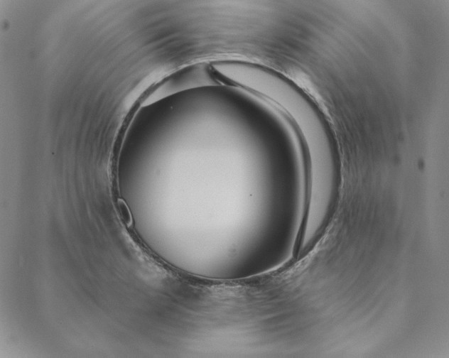 X0000088611181200706081427