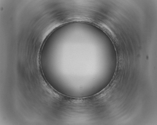 X0000088611182200706081427