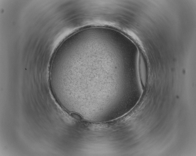 X0000088611183200706081427