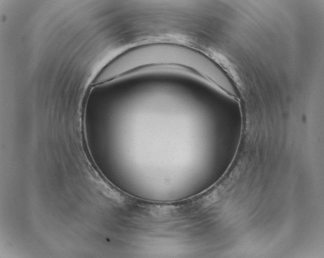 X0000088611184200706081426