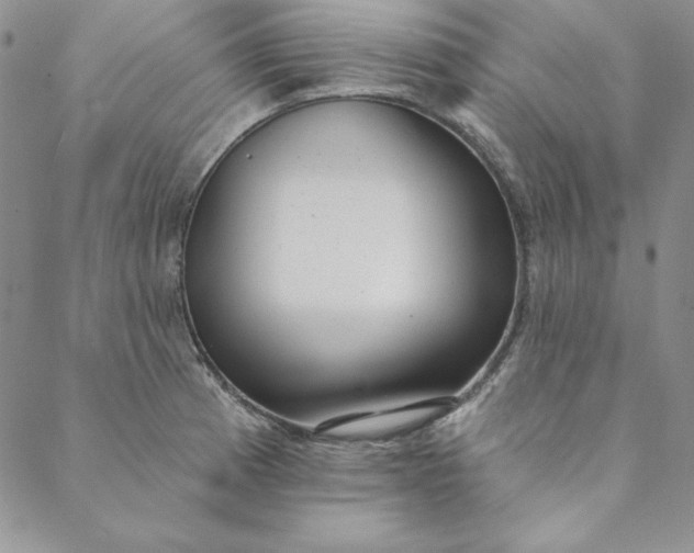 X0000088611185200706081426