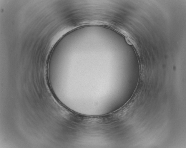 X0000088611187200706081426