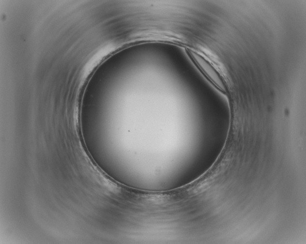 X0000088611188200706081426