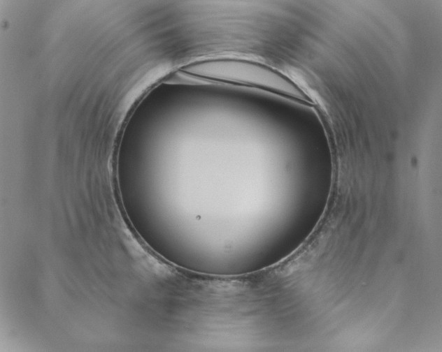 X0000088611189200706081426