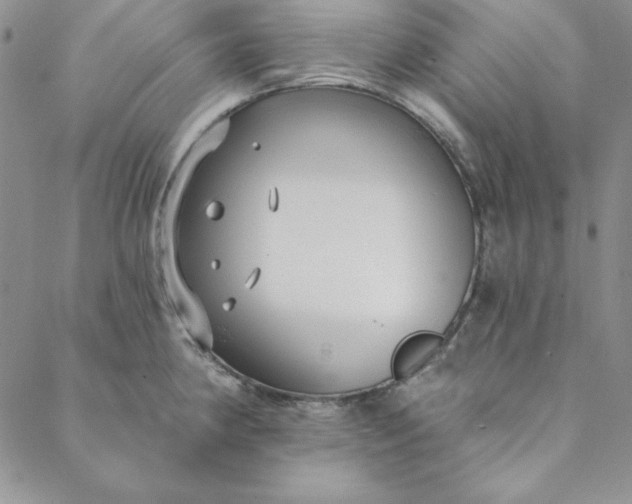 X0000088611190200706081426