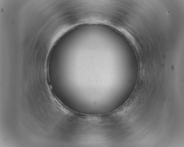 X0000088611191200706081426