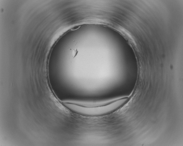 X0000088611192200706081426