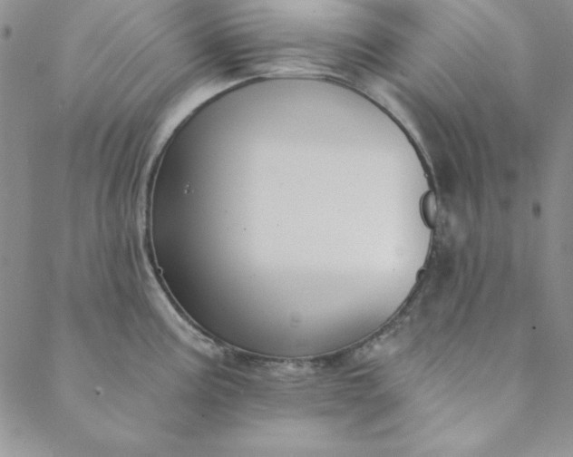 X0000088611195200706081426