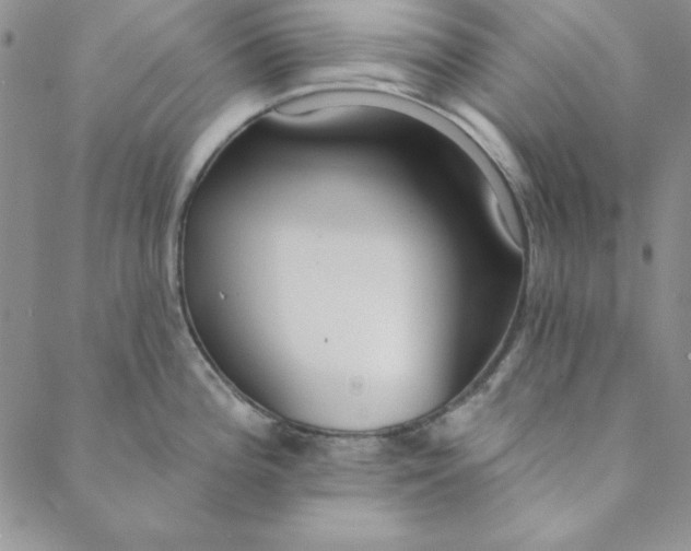 X0000088611196200706081426