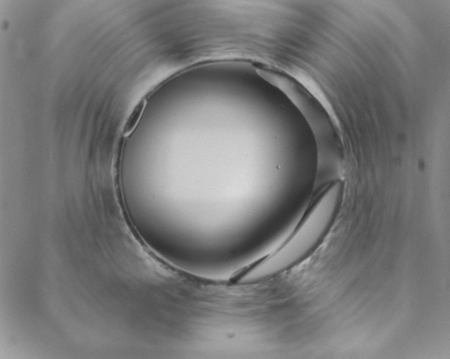 X0000088611197200706081426