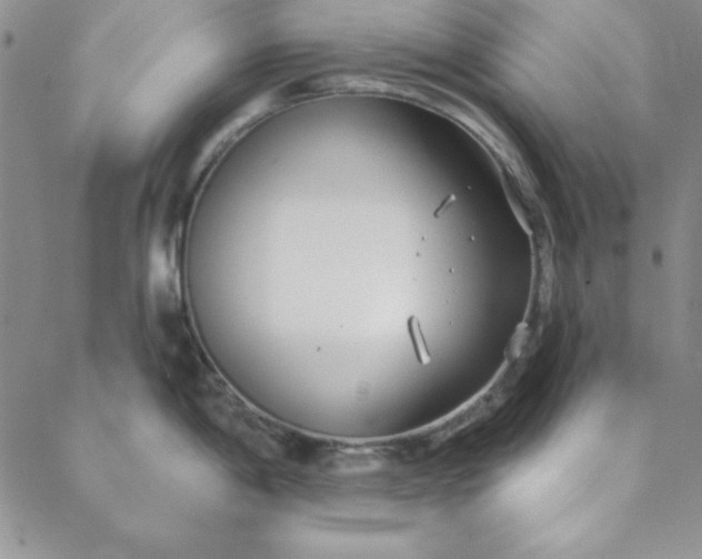 X0000088611198200706081426