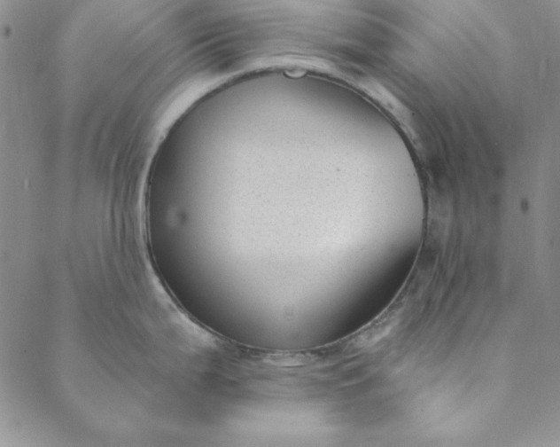 X0000088611199200706081426