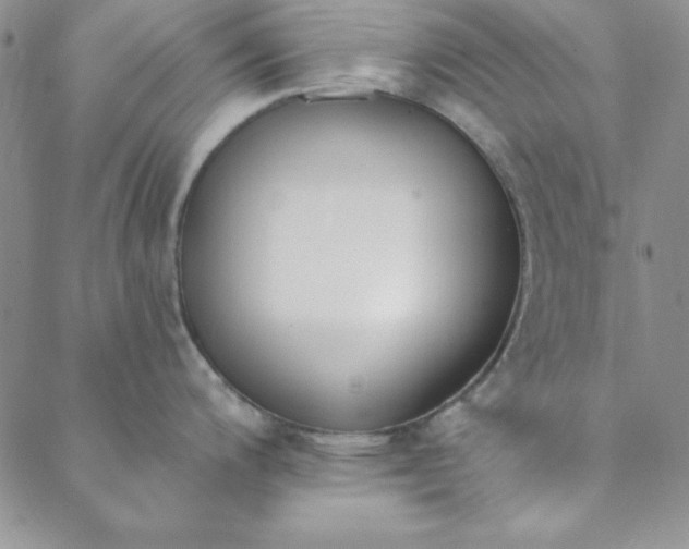 X0000088611200200706081426