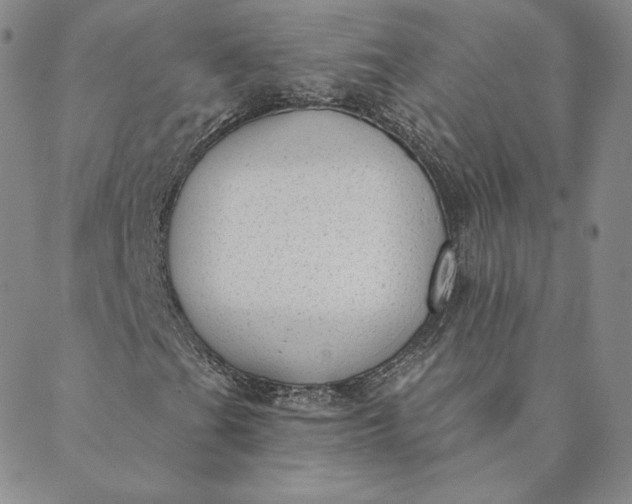 X0000088611201200706081425