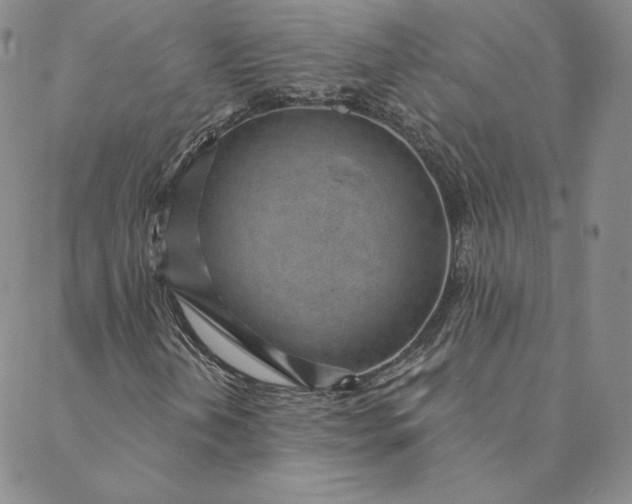 X0000088611202200706081425