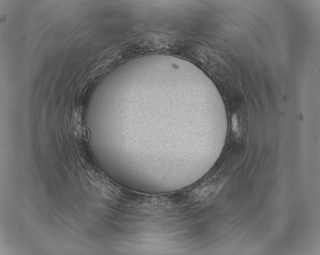 X0000088611203200706081425