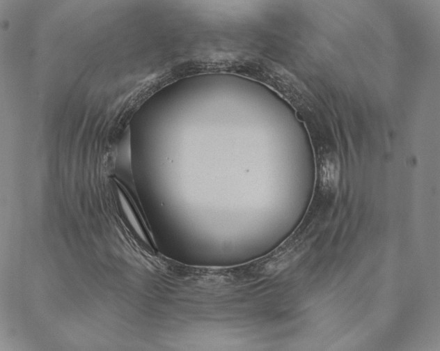 X0000088611204200706081426