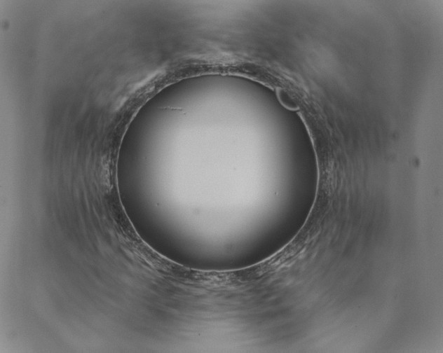 X0000088611205200706081426