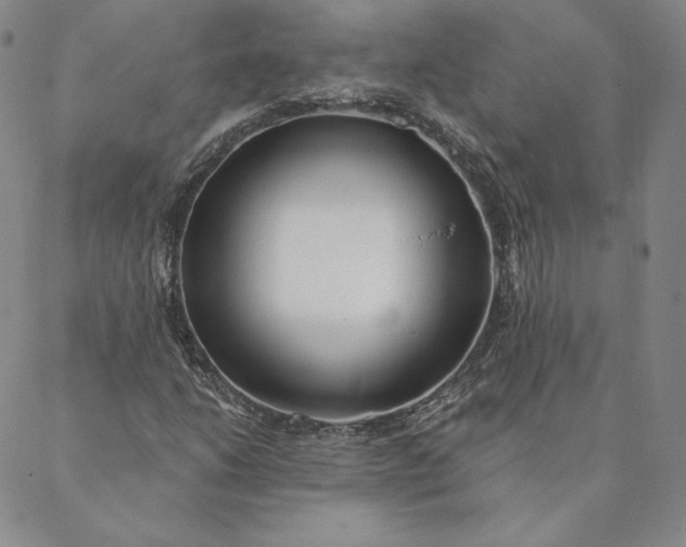 X0000088611206200706081426