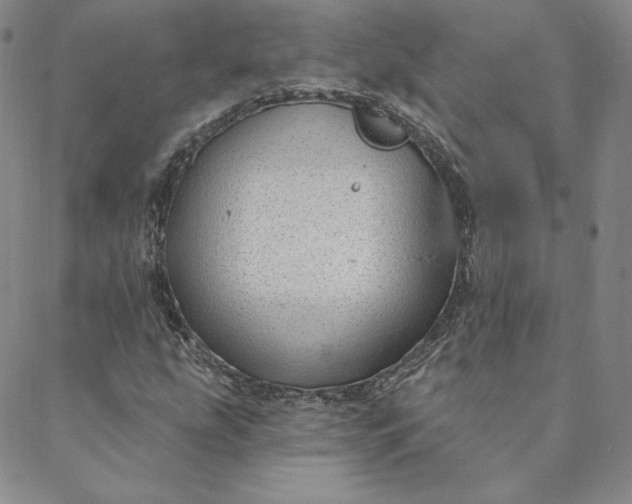 X0000088611207200706081426