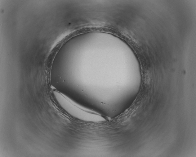 X0000088611208200706081426