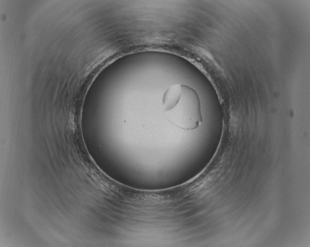 X0000088611209200706081426